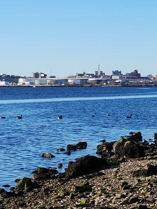 Narrow Beach East Bay