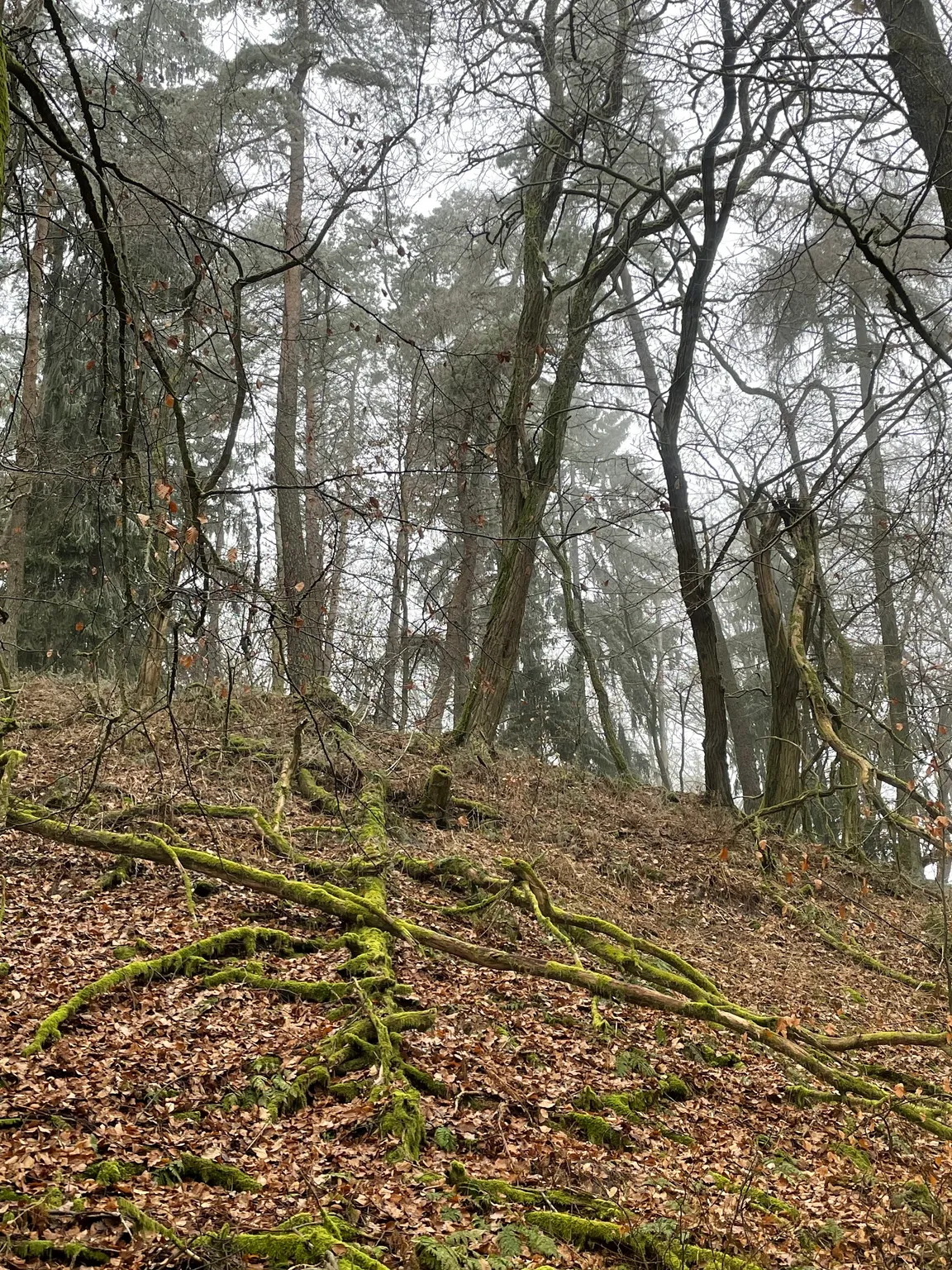Ehemalige Bergbremsbahn