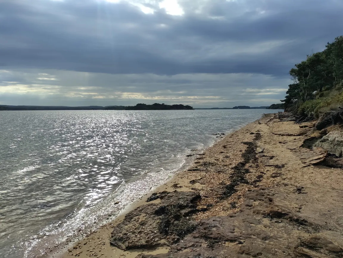 Brownsea Castle