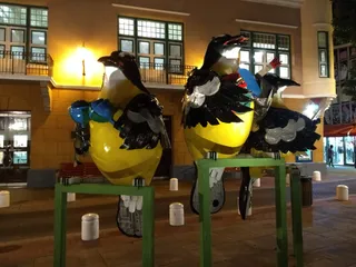 Floating Market