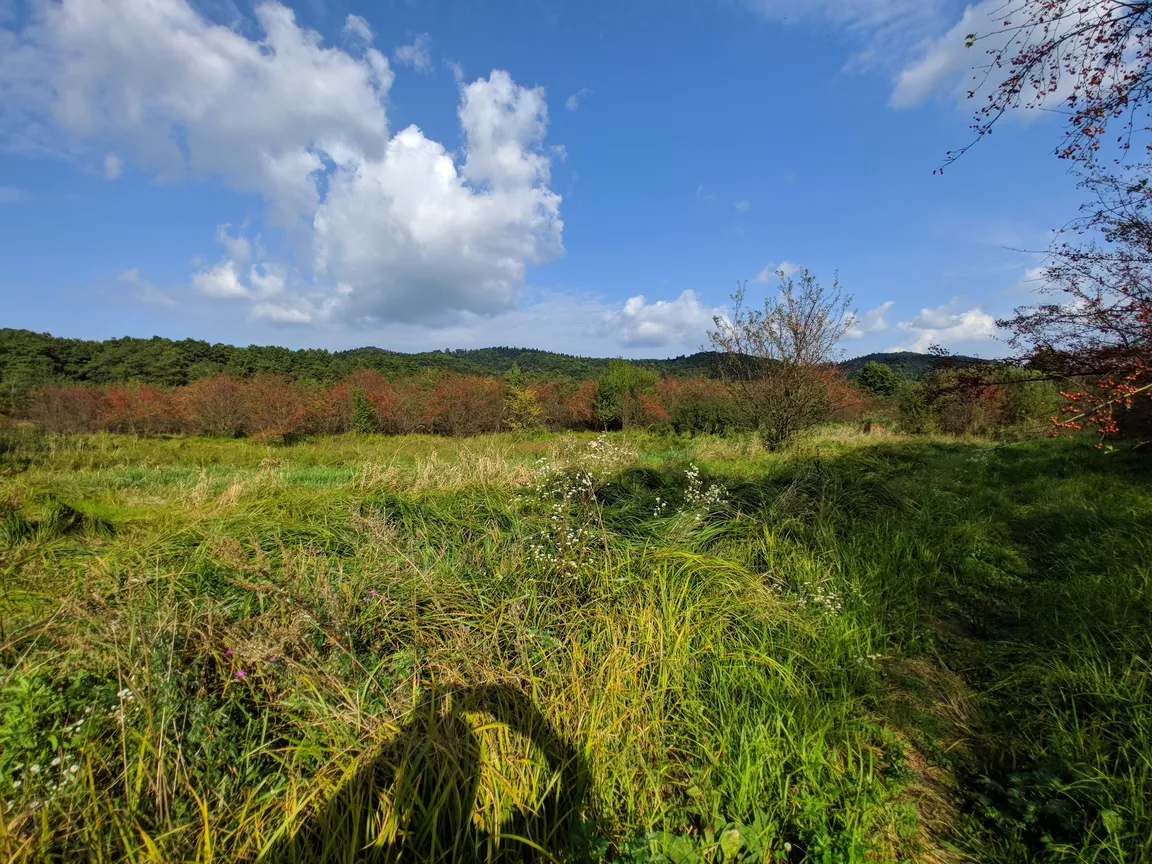 Ścieżka Przyrodniczo-Edukacyjna