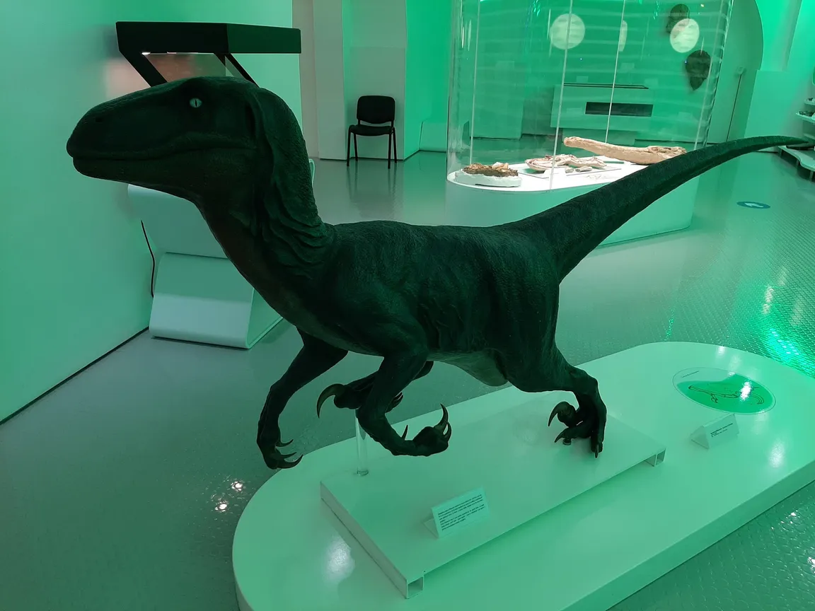 Museu de História Natural de Sintra