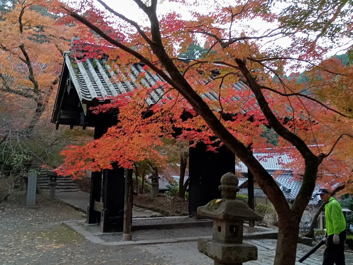 Akizuki Castle Ruins