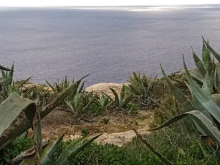 Klify Ta’ Ċenċ