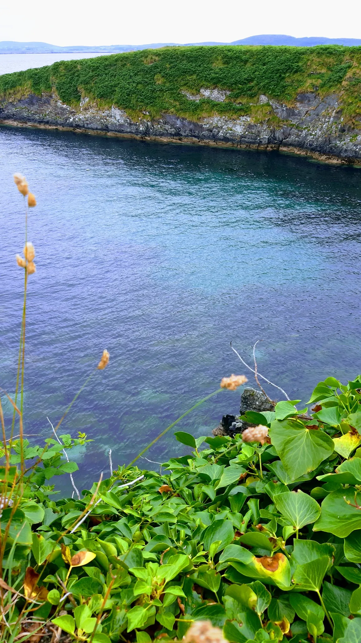 Kenmare Bay Diving