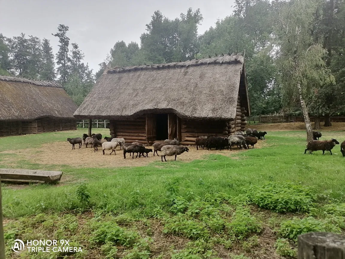 Muzeum Archeologiczne w Biskupinie