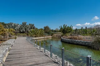 Ariel Sharon Park