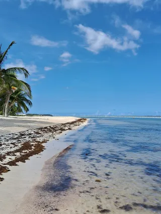 La Cana Golf Club