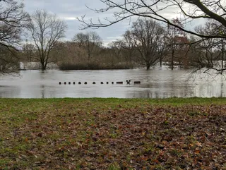 Hinüberscher Garten