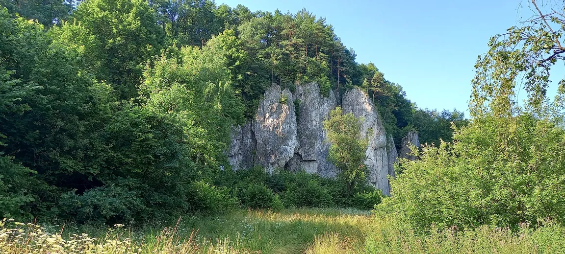 Szkoła Wspinania Jura Climbing School