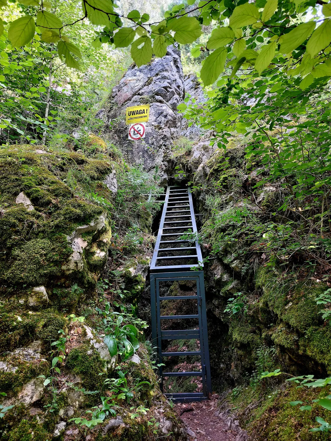 Miedzianka