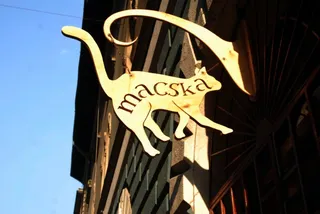 Macska