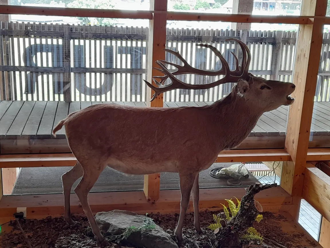 House of Nature Feldberg