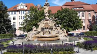 Opolska Ceres