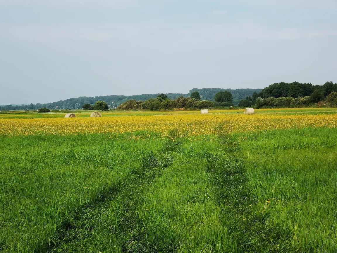 Łomżyński Park Krajobrazowy Doliny Narwi