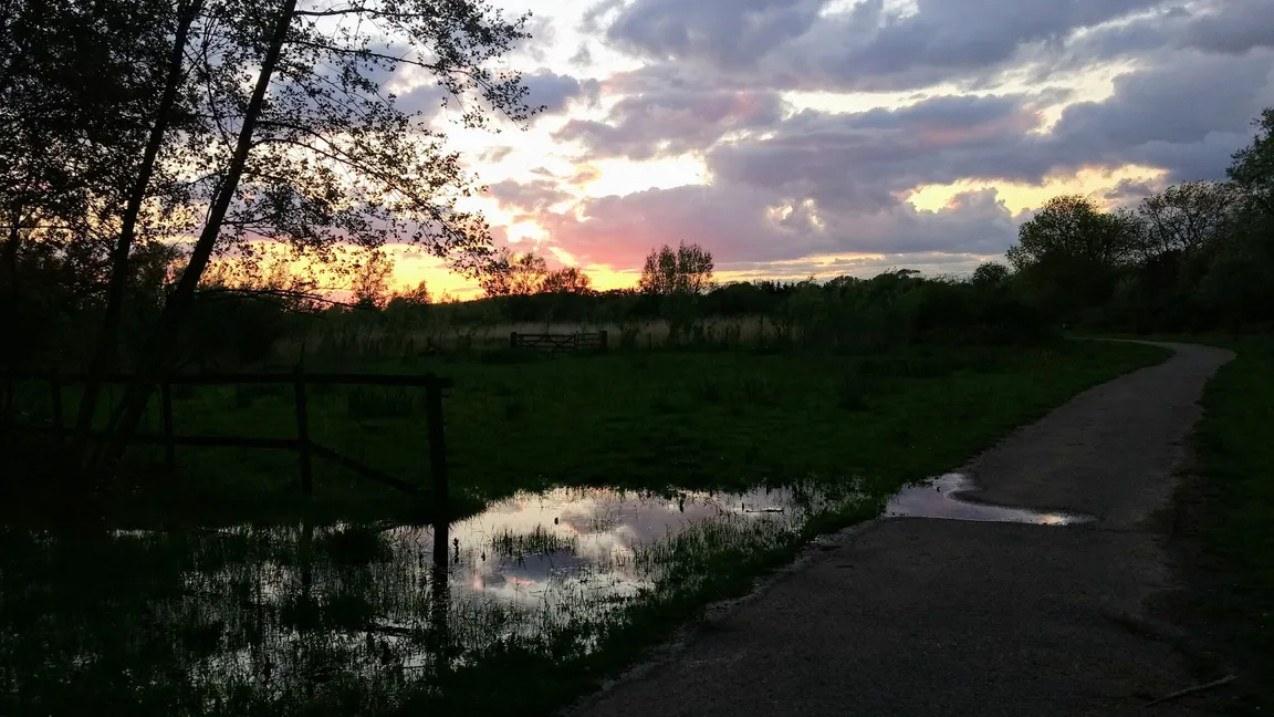 Alney Island Nature Reserve