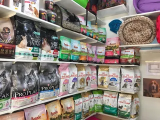 Cat Cafe Petshop
