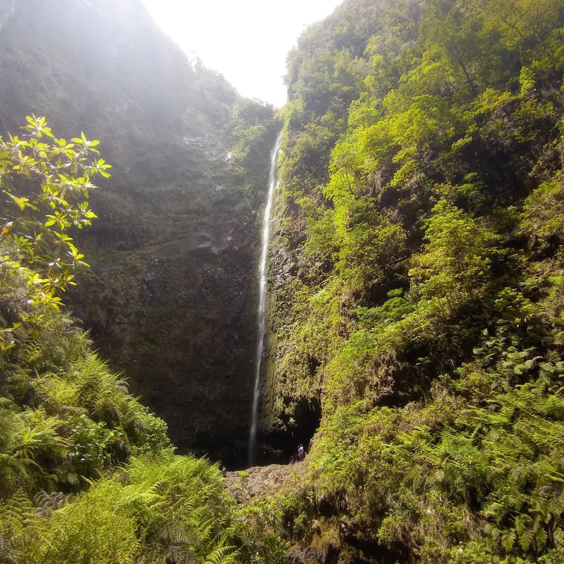 Madeira Trekking On Demand
