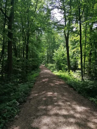 Erlebe Bruderwald