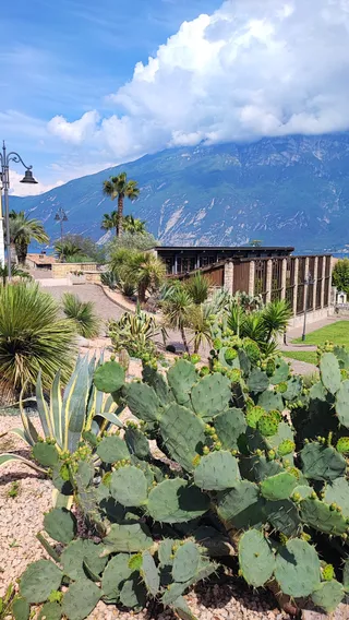 Parco antistante il comune