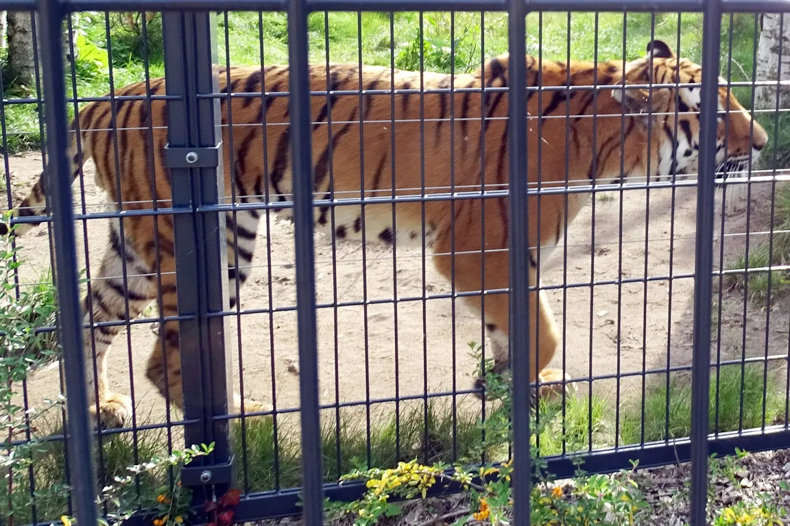 Zoo Opole