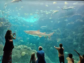 The Florida Aquarium