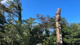 Bijarim Forest