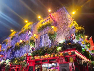 The Temple Bar Pub