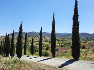 Οινοποιείο Άγιος Αμπέλης