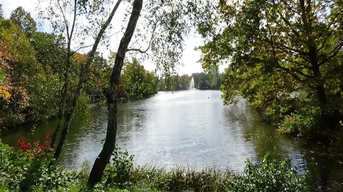 Park Śląski