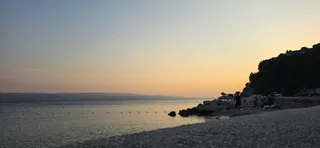 Dog friendly beach