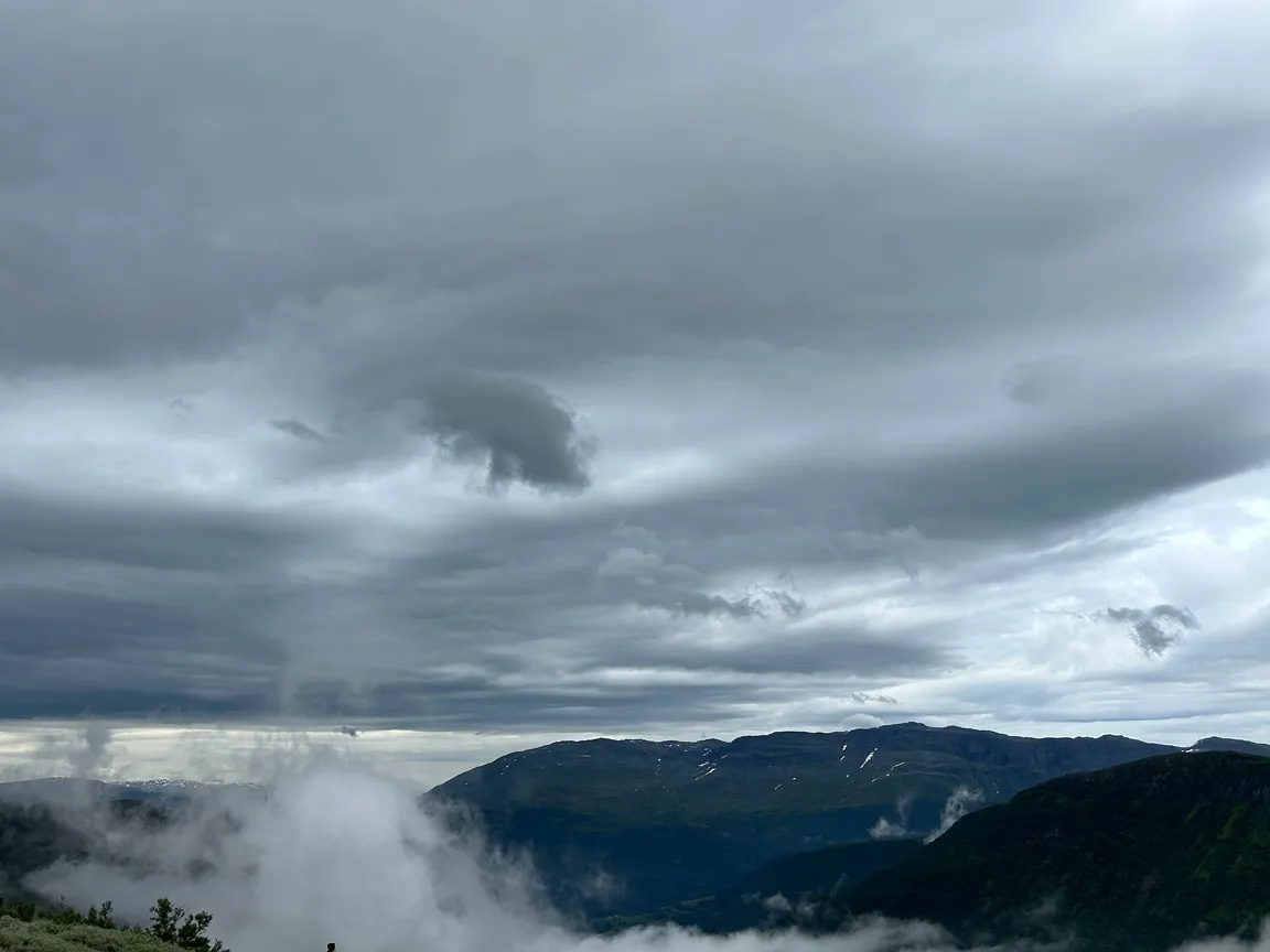 Viewpoint