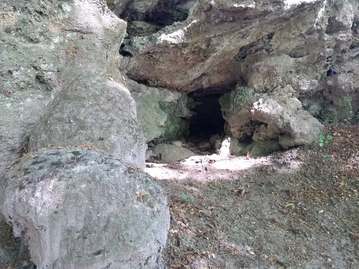 Grota Mechowska
