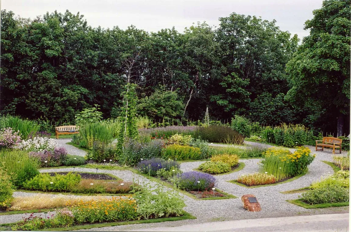 NTNU Ringve Botanical Garden