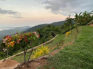 Phu View