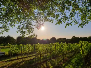 Weingut Maier