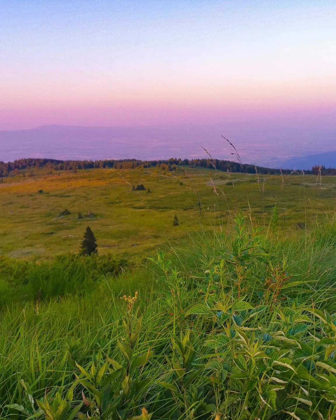 Vitosha Nature Park