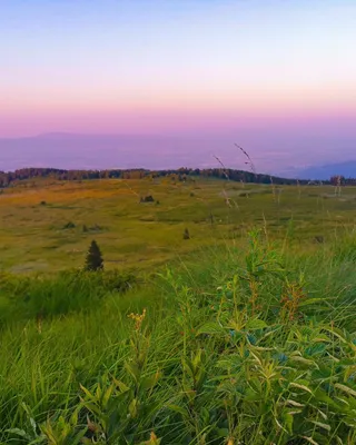 Vitosha Nature Park