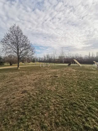 Wybieg dla psów