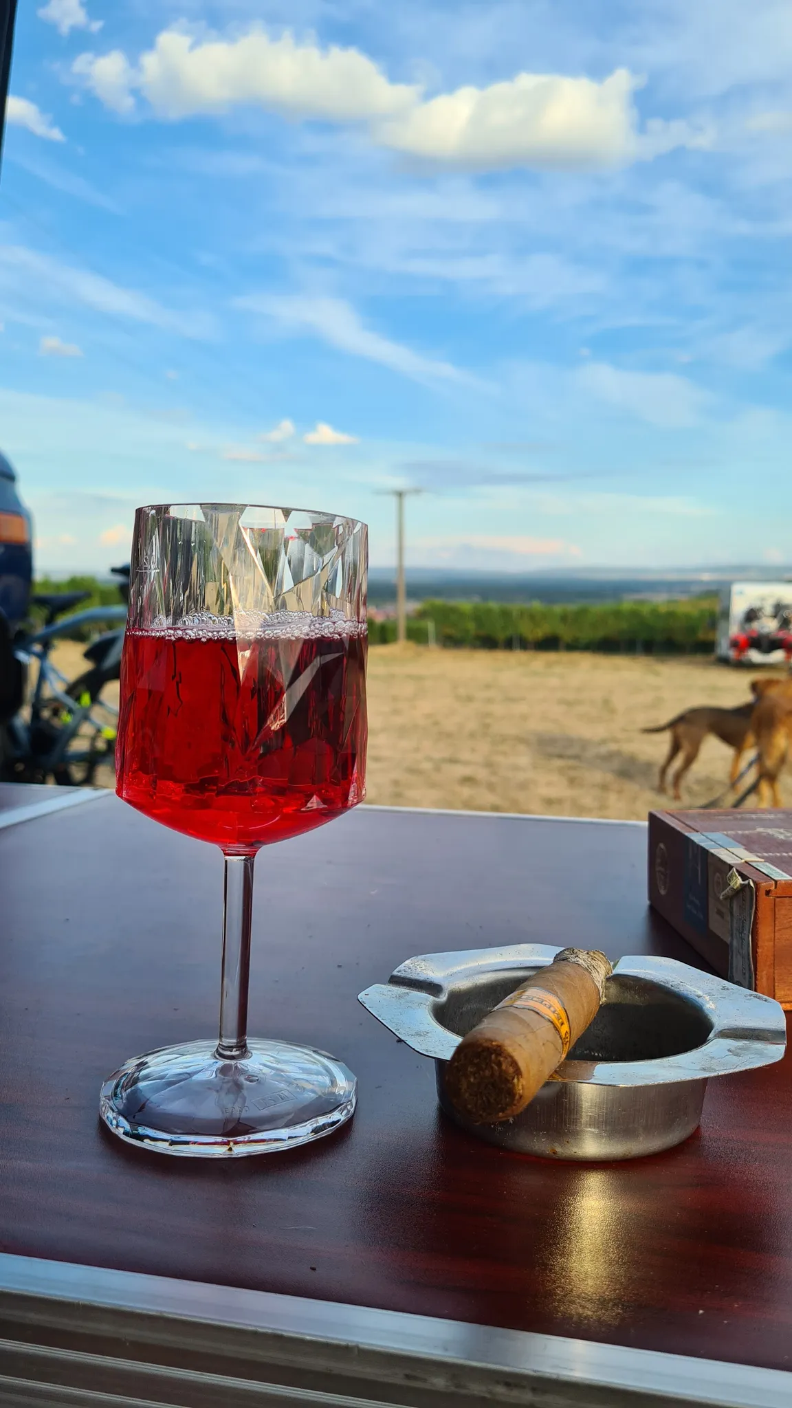Weingut und Brennerei Mangold Panoramastellplätze Wohnmobilstellplätze