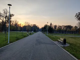 Parcul Tineretului