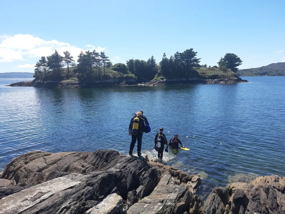 Kenmare Bay Diving