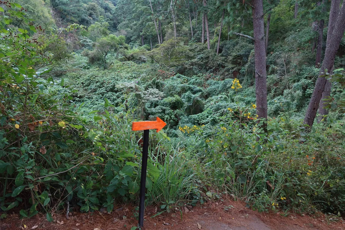 Parque Ecológico Kanajuyú