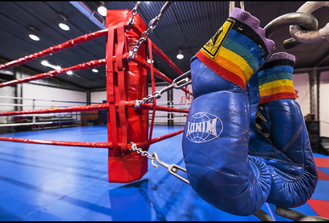 Power Fight House