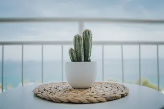 Just a Seaview Apartment * Top Location *