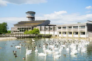 WWT Slimbridge