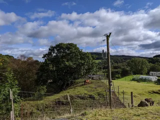 Auchingarrich Wildlife Park