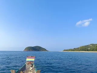 Black Coral Tours