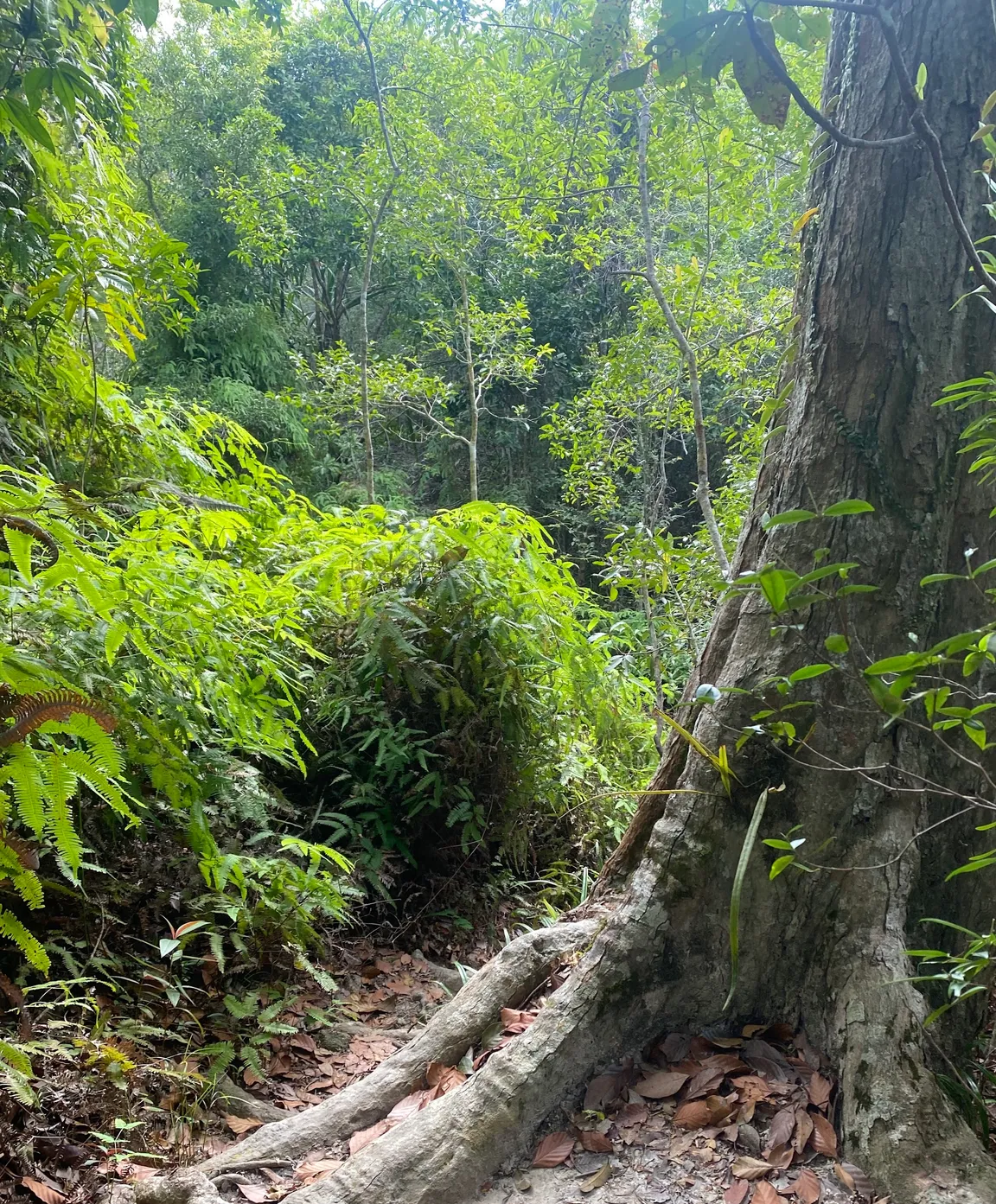 Namtok Than Sadet National Park