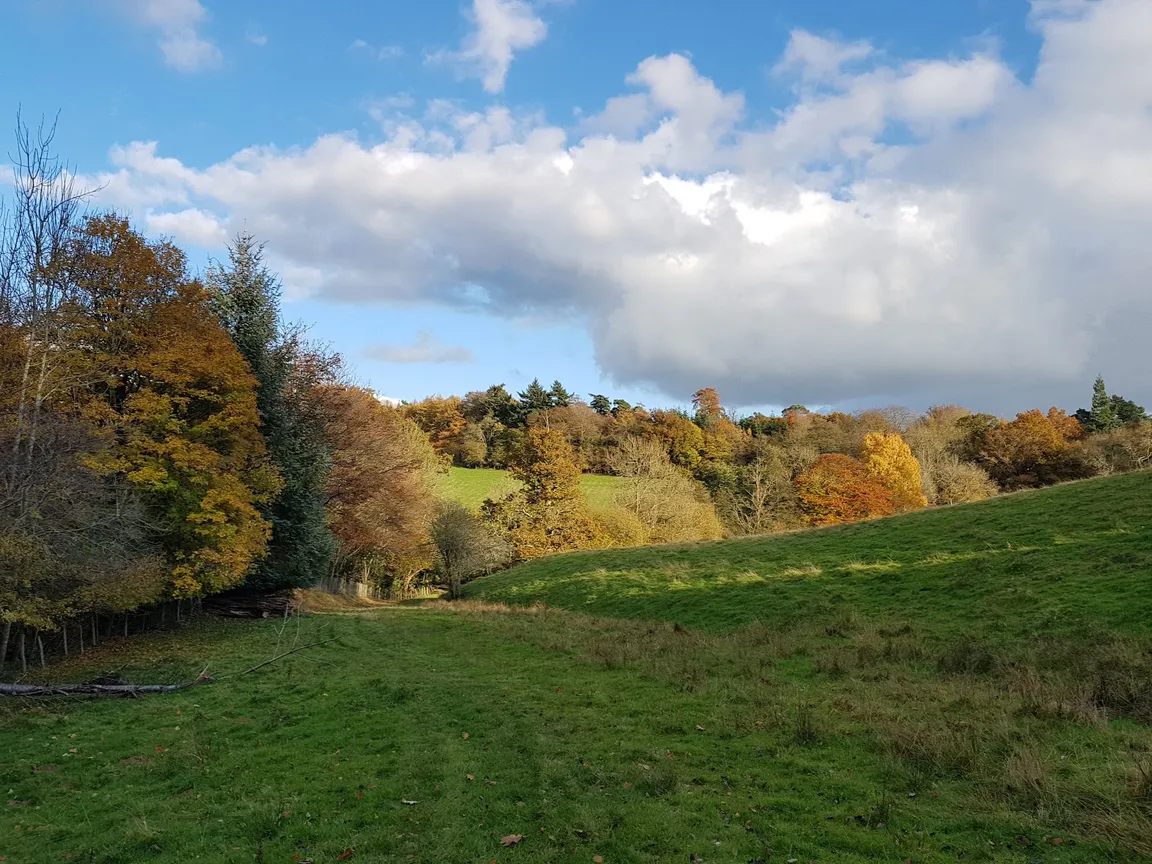 Bewl Water